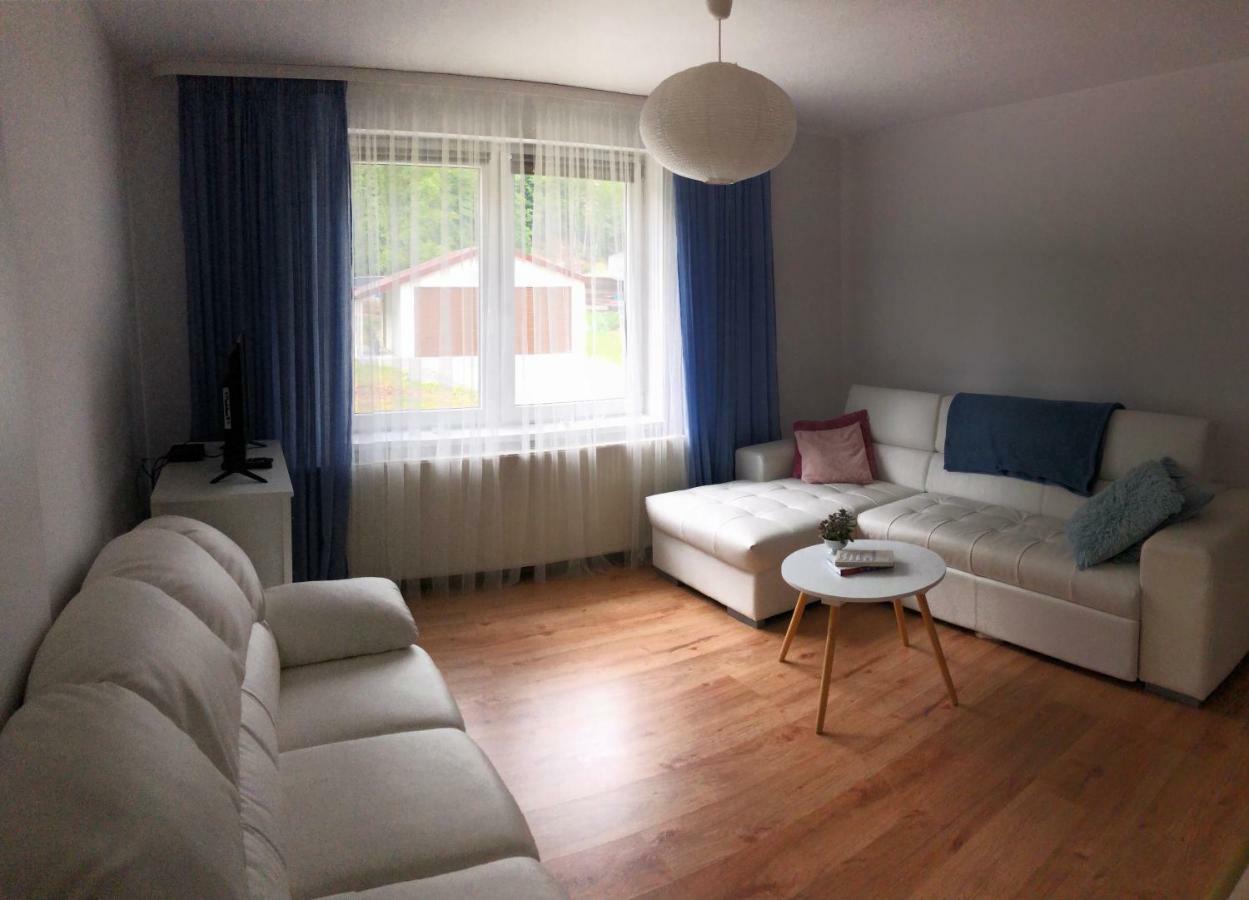 ヴィスワApartament Ikaアパートメント エクステリア 写真