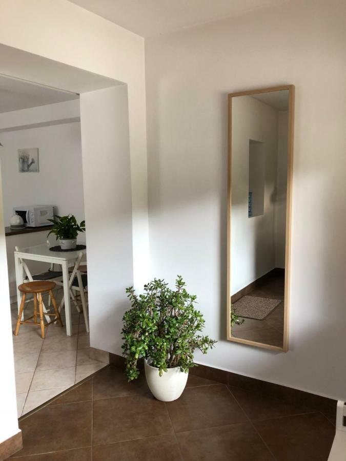 ヴィスワApartament Ikaアパートメント エクステリア 写真